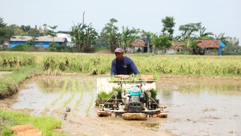 Petani Rembang Siap Hadapi El Nino Godzilla Lewat Bantuan Alat Pertanian