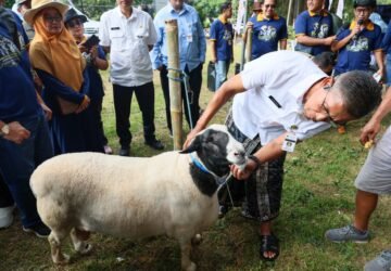 Pastikan Hewan Kurban di Jateng Aman Lewat Program “Healing”