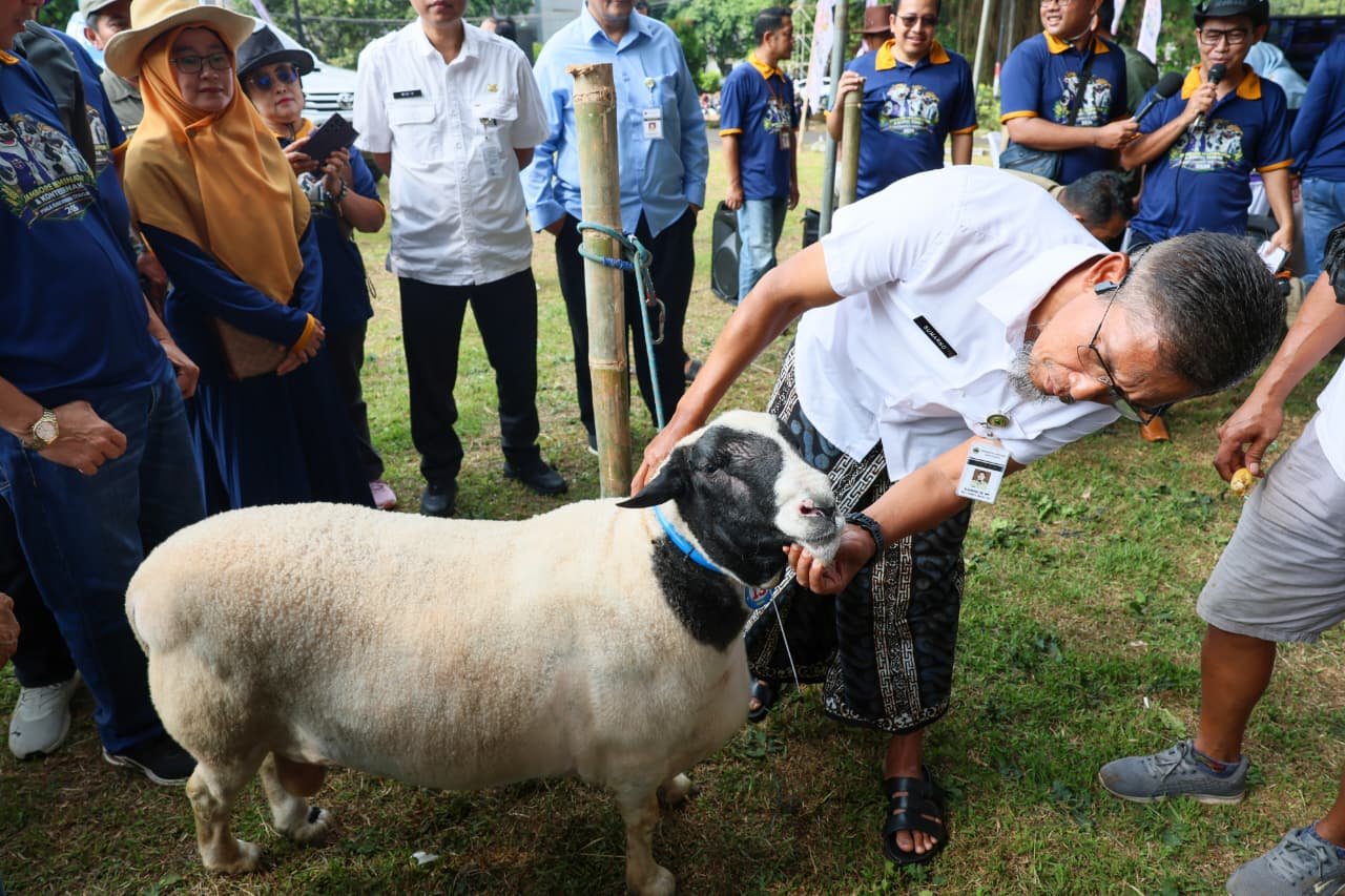 Sekda Jateng mengecek kesehatan hewan kurban