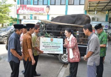 Wali Kota Semarang Salurkan Sapi Kurban