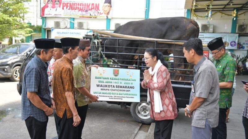 Wali Kota Semarang Salurkan Sapi Kurban