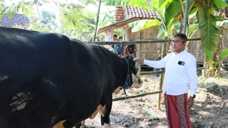 Sekda Jateng Salurkan Hewan Kurban 1,1 Ton untuk Korban Banjir Grobogan