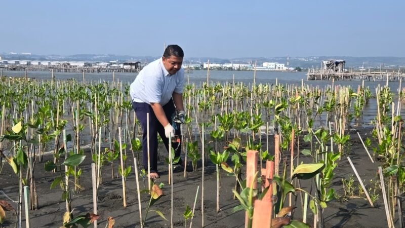 Bandara Ahmad Yani Gelar Monitoring Mangrove di Mangunharjo