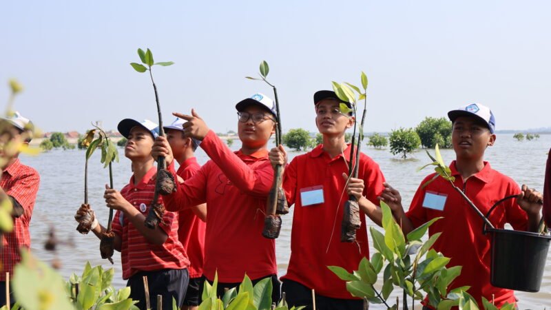 Gandeng SMAN 1 Pekalongan, Mercy Corps Indonesia Tanam Seribu Mangrove Perkuat Pesisir