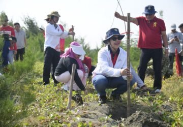 Wali Kota Agustina Wilujeng Ajak Karang Taruna Rawat Bibit Cemara Laut di Pulau Tirang