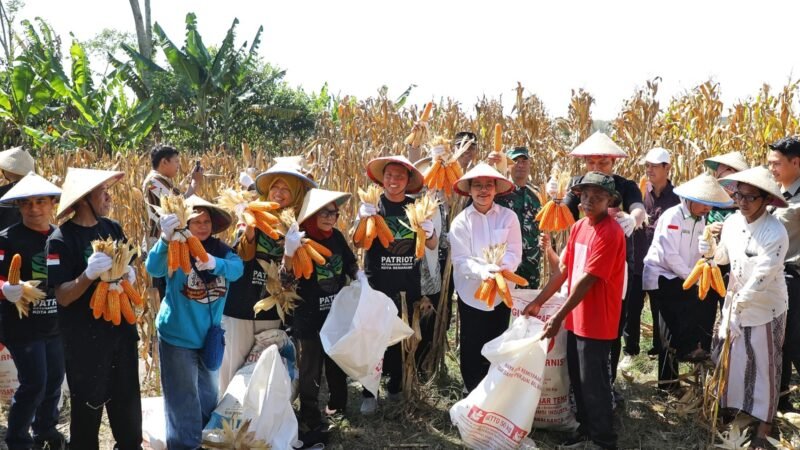 Wali Kota Agustina Apresiasi GP Ansor, Panen Raya Jagung Jadi Bukti Pemuda Mampu Perkuat Ketahanan Pangan