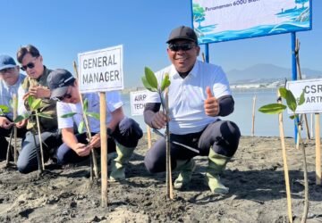 Hijaukan Pesisir Pantai Mangunharjo, Bandara Ahmad Yani Tanam 6.000 Bibit Mangrove