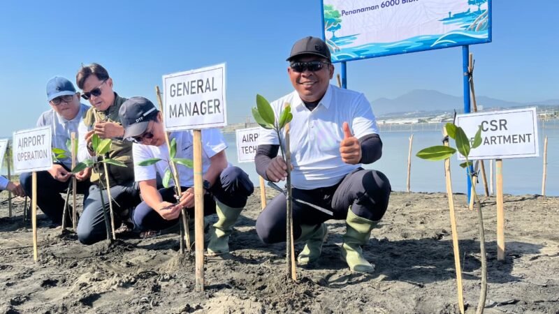 Hijaukan Pesisir Pantai Mangunharjo, Bandara Ahmad Yani Tanam 6.000 Bibit Mangrove
