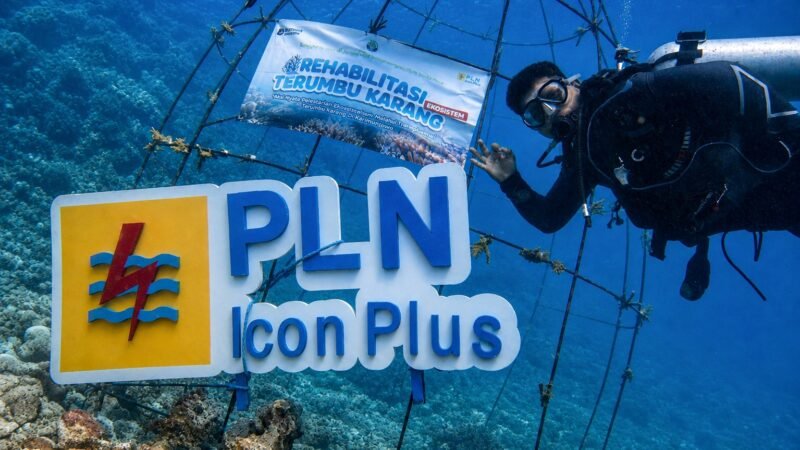 PLN Icon Plus Hadirkan Program TERANG LAUT, Perkuat Konservasi Terumbu Karang Karimunjawa