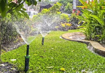 Hadapi Kemarau, Wali Kota Semarang Dorong Inovasi Penyiraman Otomatis Taman Kota