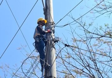 PLN Icon Plus Pastikan Kesiapan Infrastruktur Jaringan Jelang Launching dan Groundbreaking Program PLTS 100 GWp
