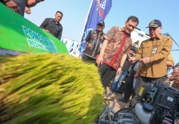 Tinggal Kejar 3,81 Juta Ton, Produksi Padi Jateng Dibidik Tembus 10,5 Juta Ton