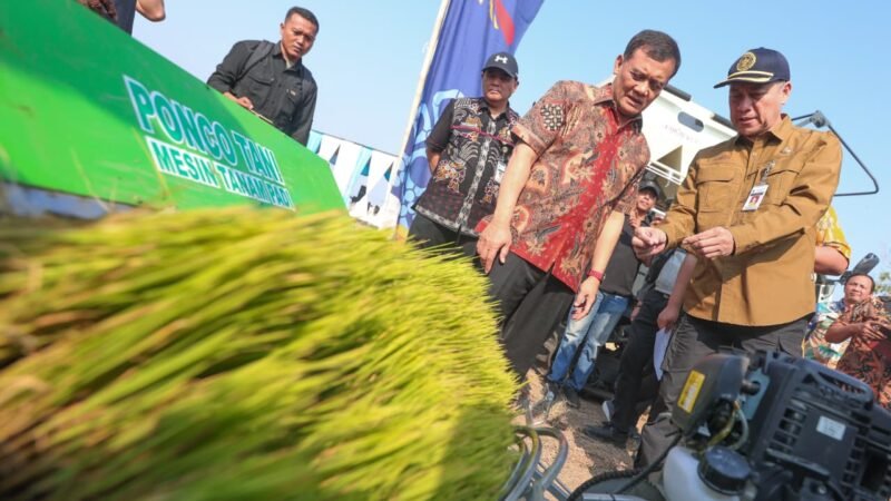 Tinggal Kejar 3,81 Juta Ton, Produksi Padi Jateng Dibidik Tembus 10,5 Juta Ton