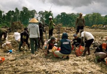 UNDIP dan Petani Senggi Bersatu dalam Tradisi Royongan Tanam Padi