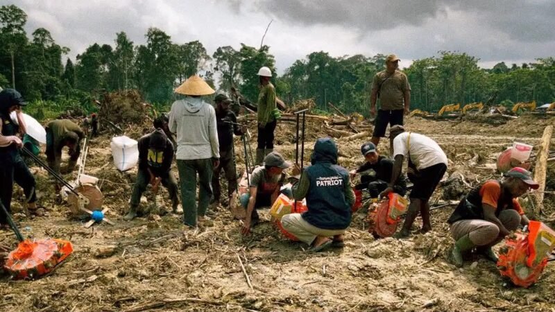 UNDIP dan Petani Senggi Bersatu dalam Tradisi Royongan Tanam Padi