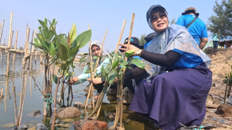 Inovasi Ekosistem Hijau PLN Indonesia Power di Pesisir Semarang