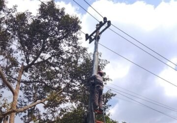 PLN Icon Plus Lakukan Perapihan Kabel Jaringan di Wonosobo, Jaga Keandalan Infrastruktur