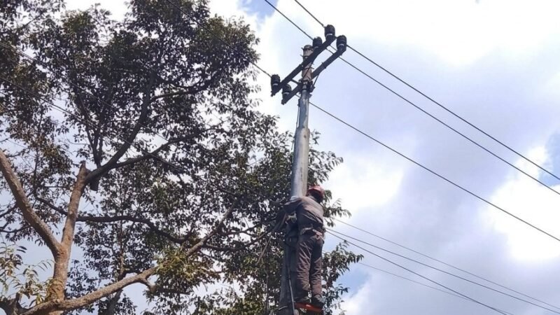 PLN Icon Plus Lakukan Perapihan Kabel Jaringan di Wonosobo, Jaga Keandalan Infrastruktur