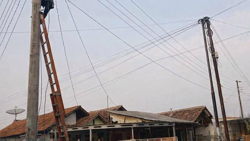 PLN Icon Plus Perkuat Keandalan Jaringan melalui Perapihan Kabel di Batang