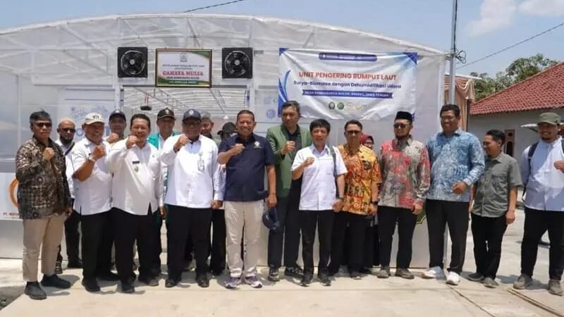 Tak Lagi Dijemur di Pinggir Jalan, UNDIP Hadirkan Pengering Rumput Laut 2 Ton